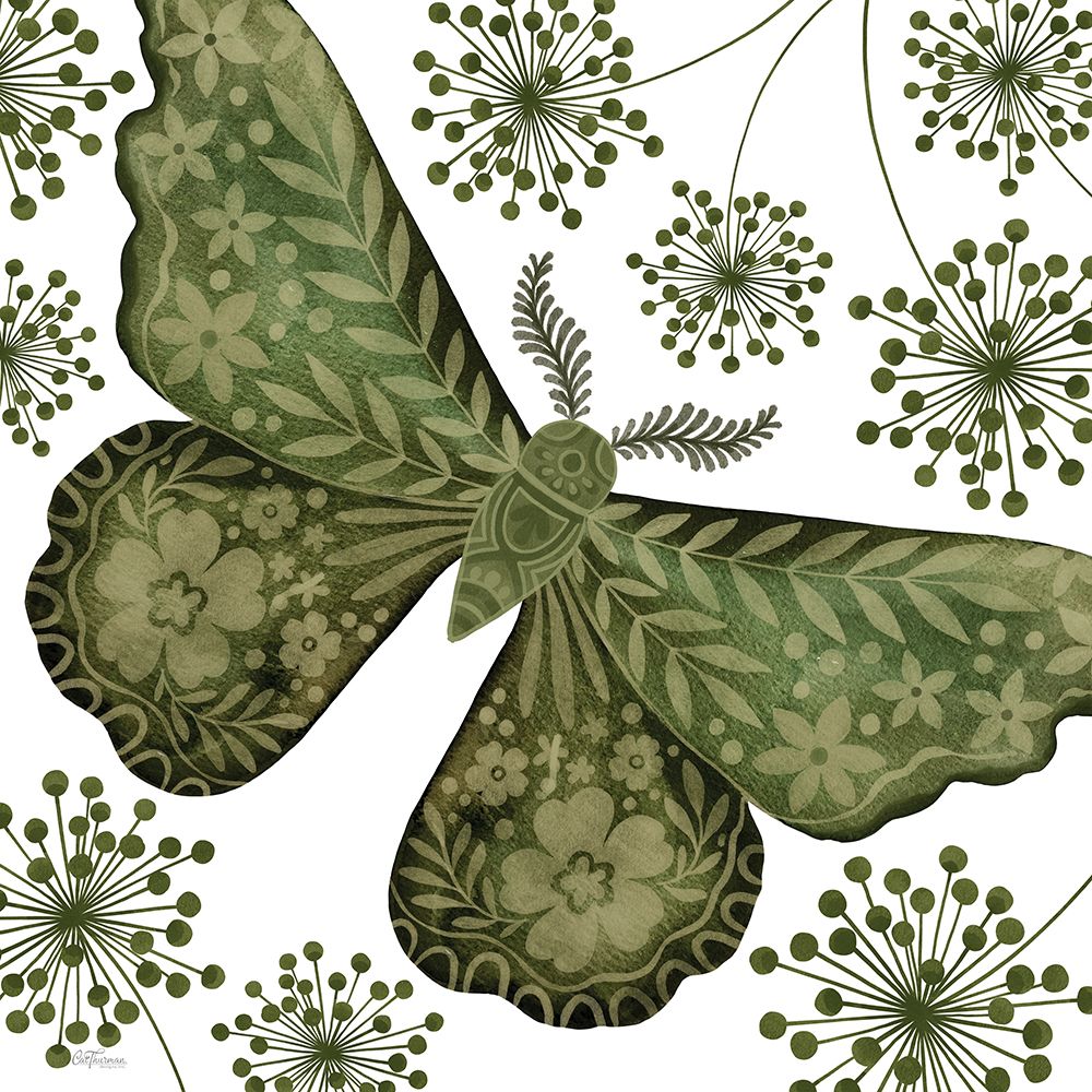 Mariposa Ornamentada — Cat Thurman Designs