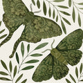 Mariposas Ornamentadas — Cat Thurman Designs