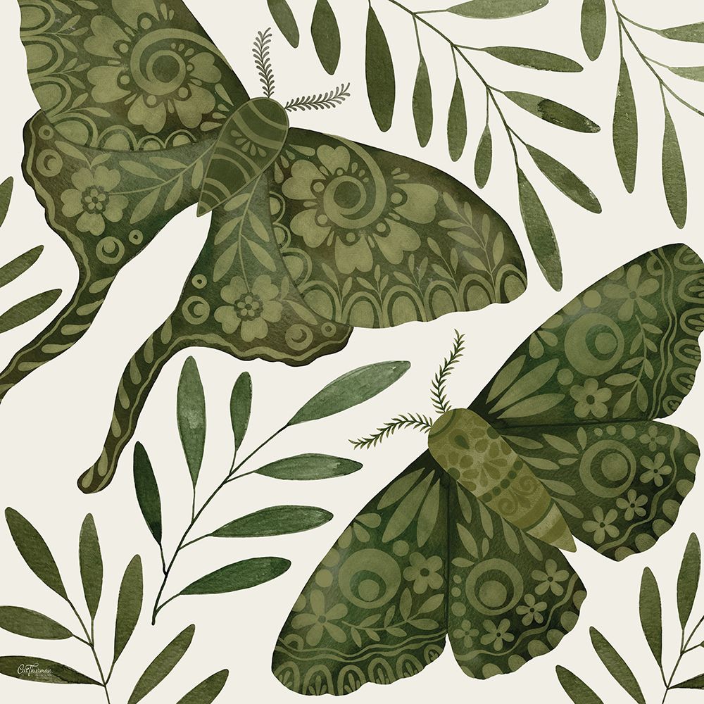 Mariposas Ornamentadas — Cat Thurman Designs