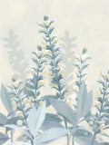 Campos Dourados 2 — House Fenway