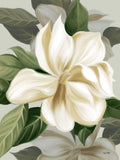 Flores de Magnólia II — House Fenway