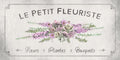 Fleurs et Plantes — rosa I — Deiter, Lori