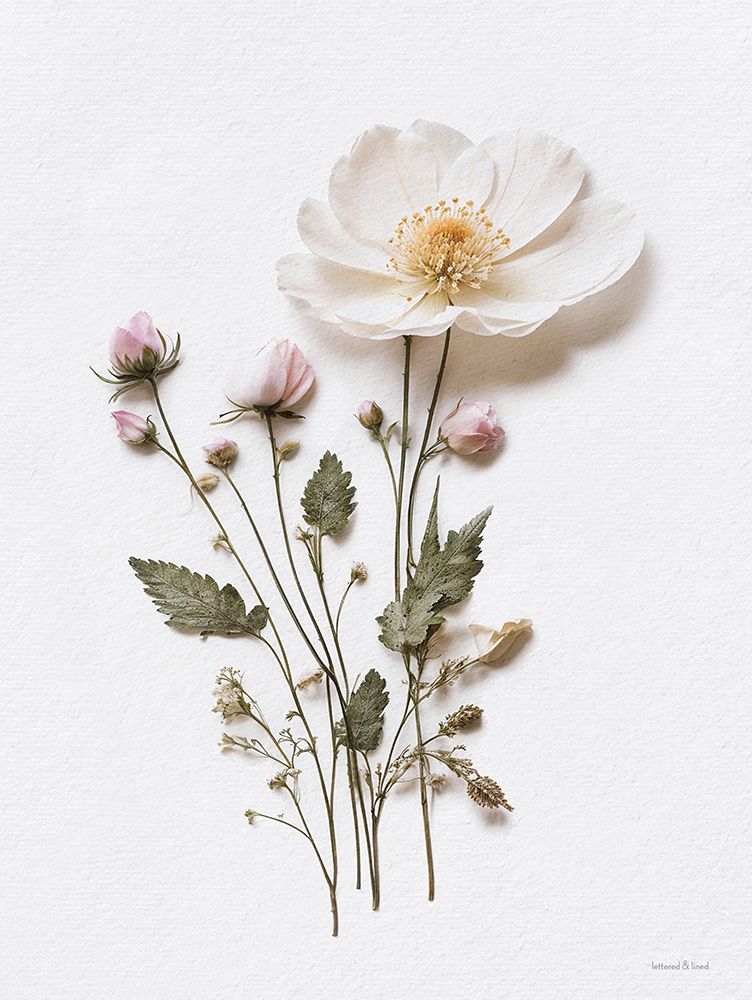 Flores Prensadas III — lettered And lined