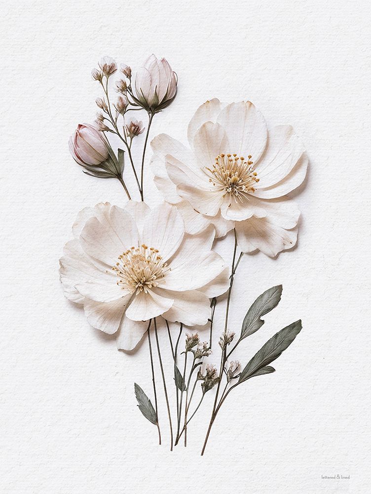 Flores Prensadas IV — lettered And lined