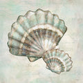 Conchas do Mar I — Mollie B.