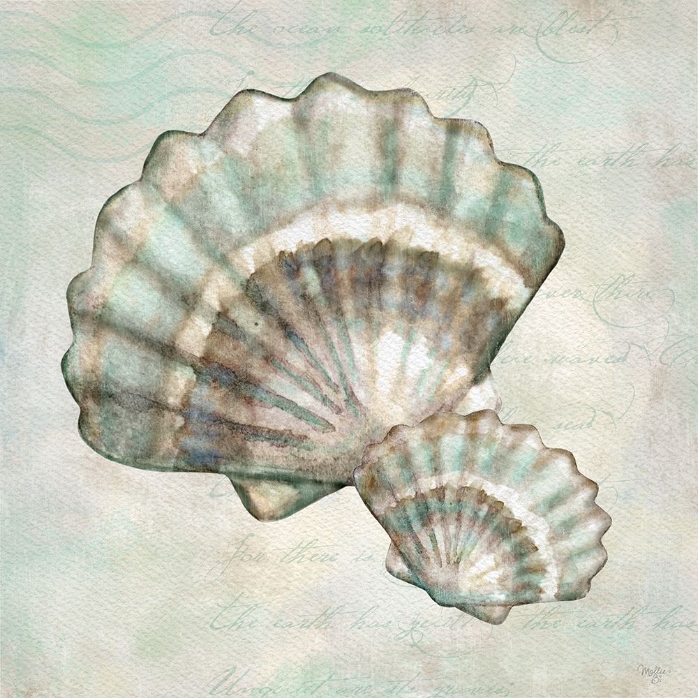 Conchas do Mar I — Mollie B.