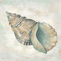 Conchas do Mar II I — Mollie B.