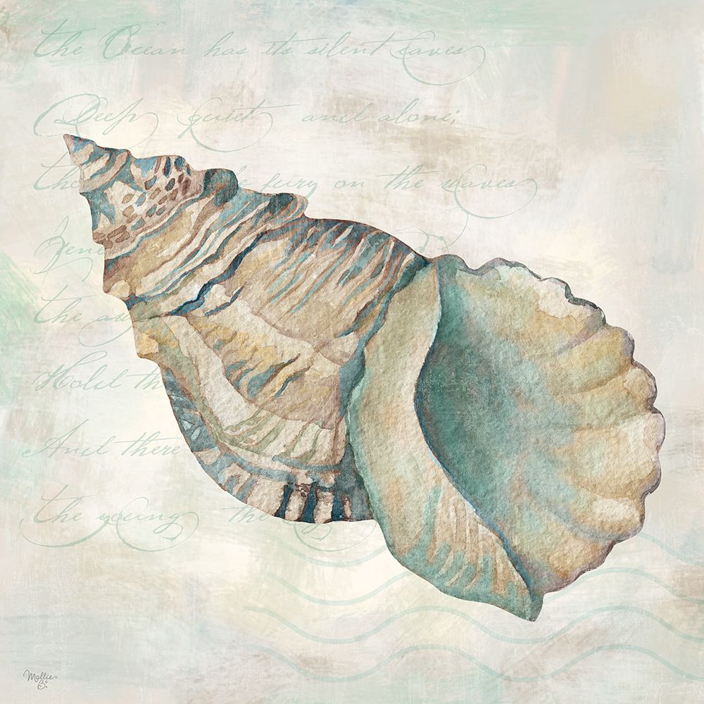 Conchas do Mar II I — Mollie B.