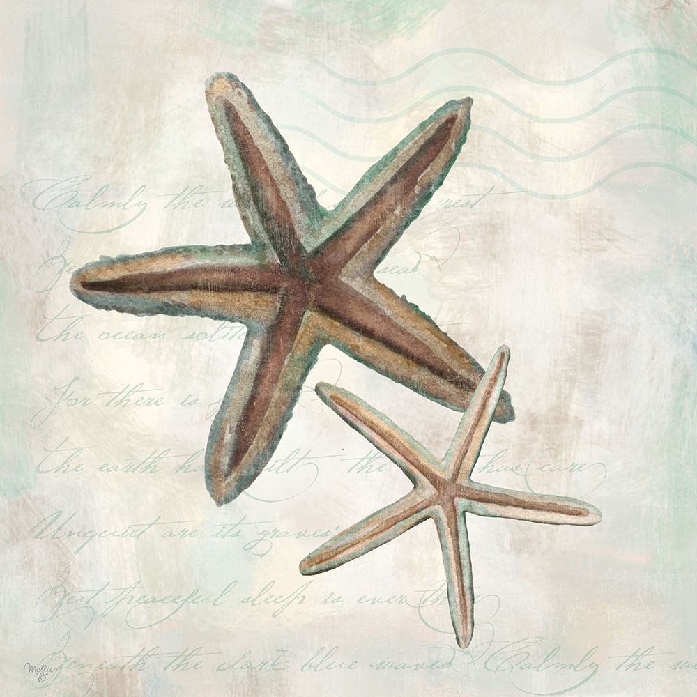 Conchas do Mar II — Mollie B.