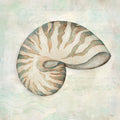 Conchas do Mar IV — Mollie B.