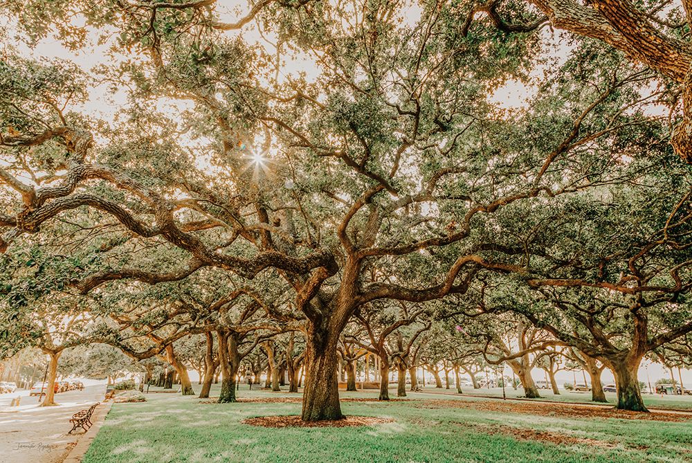 Carvalhos do Low Country II — Rigsby, Jennifer