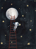 Pegue uma Estrela — Nieman, Rachel