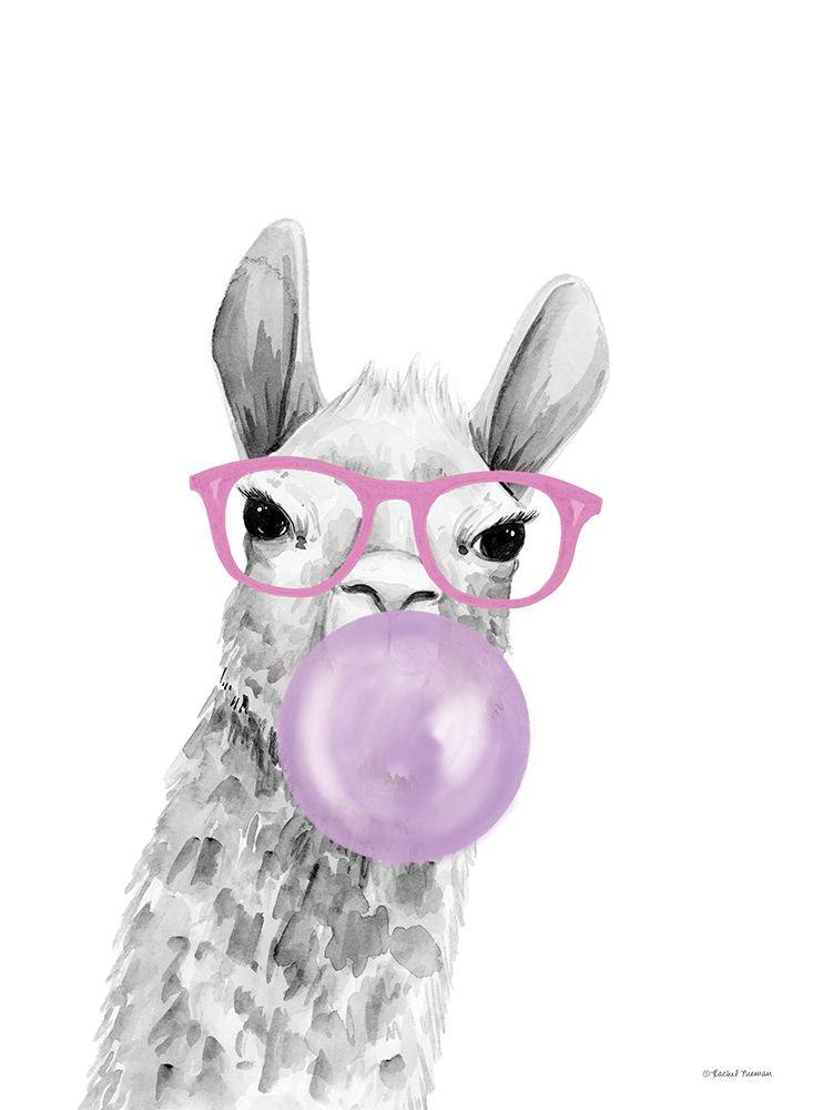 Alpaca Cor de Chiclete — Nieman, Rachel