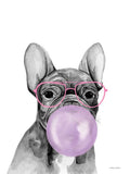 Cachorrinho Cor de Chiclete — Nieman, Rachel