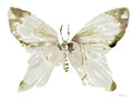 Borboleta em Tons Neutros I — Stellar Design Studio