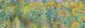 Brilho das Flores — Seven Trees Design