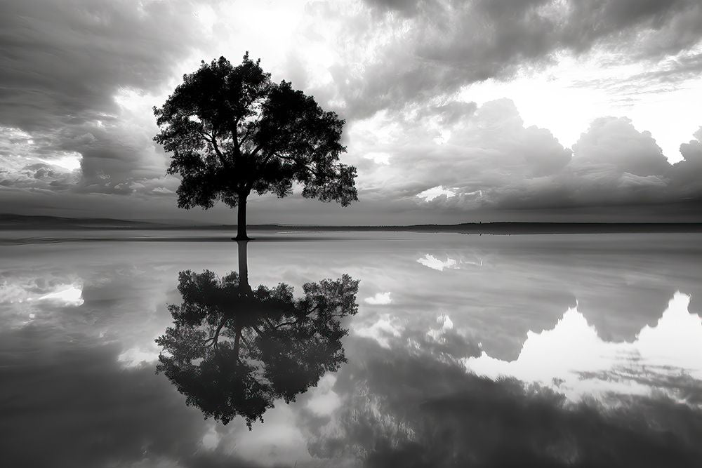 Reflexo de Árvore no Lago I — Zuckerman, Jim