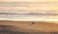 Bicicletas na Praia ao Anoitecer — Oregon — Gulin, Sylvia