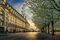 Última Luz no London Eye — El Assy, Nader