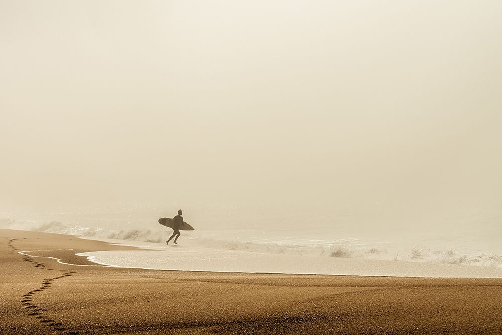 Surfista — Reichelt, Dieter