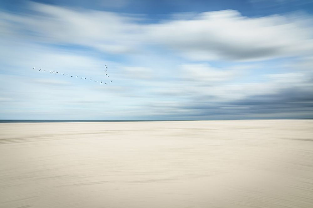 Pássaros em Beira-Mar — Reichelt, Dieter