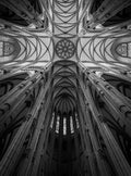 Perspectiva — Silveira, Fernando