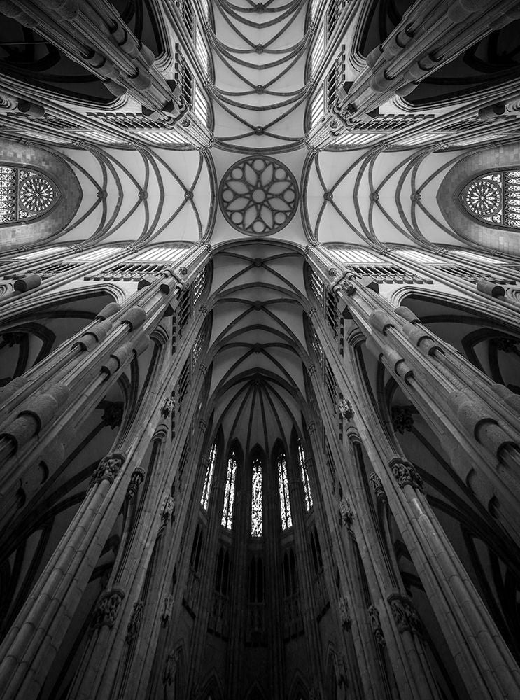 Perspectiva — Silveira, Fernando