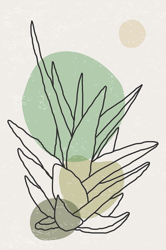 Agave Abstrata em Cor nº 3 — Stanley, Jay