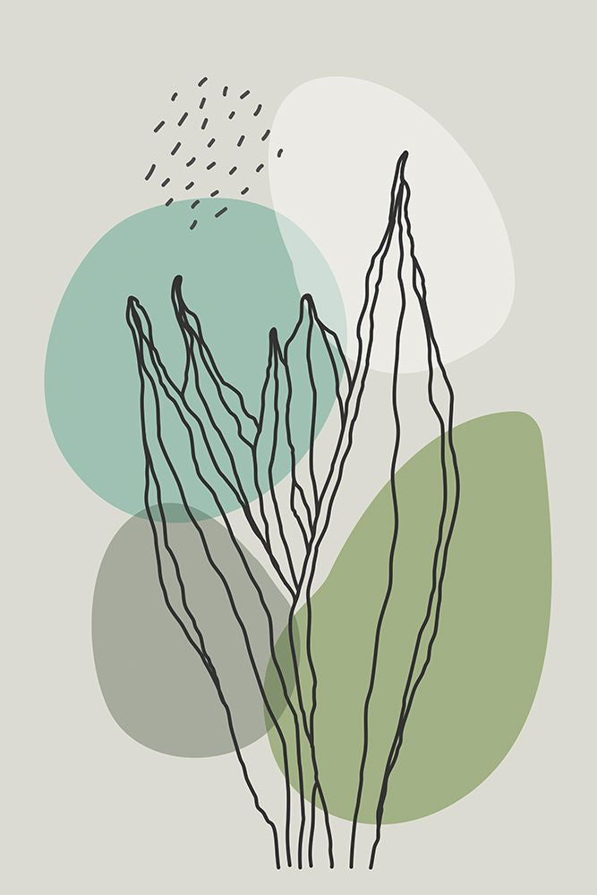 Plantas Abstratas em Cor nº 2 — Stanley, Jay
