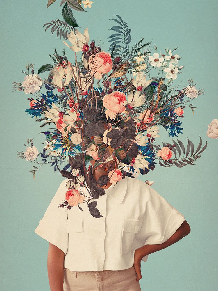 Graças a Deus é Primavera — Moth, Frank