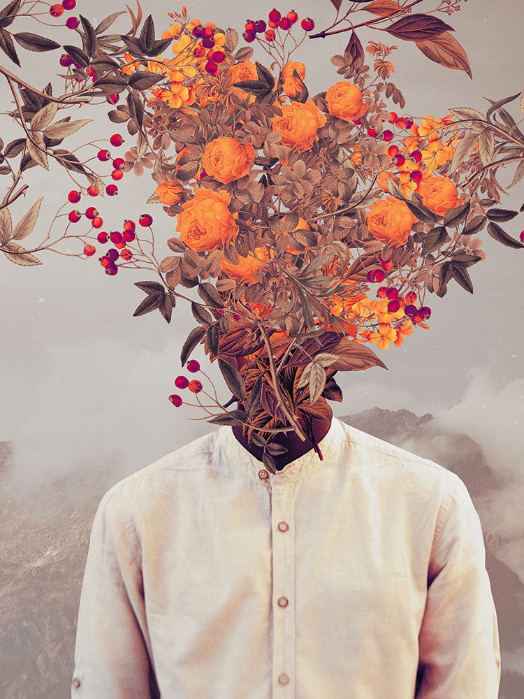 Flor Viva — Moth, Frank