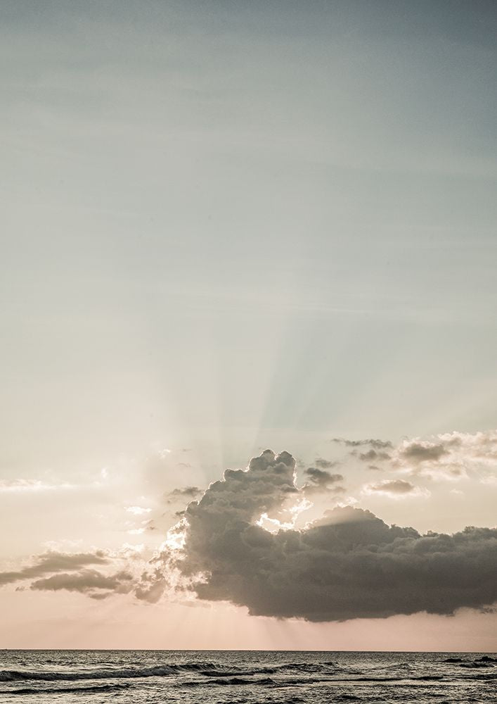 Luz Nova — Shot by Clint