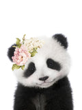 Pandinha Floral — Peacock, Lola