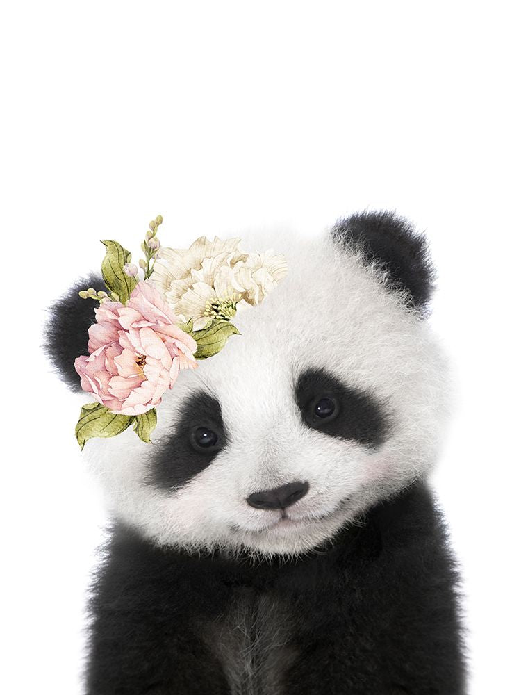 Pandinha Floral — Peacock, Lola