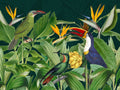 Aves da Floresta Tropical — Haase, Andrea