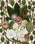 Flores Terrosas — Nicolo, Giovanna