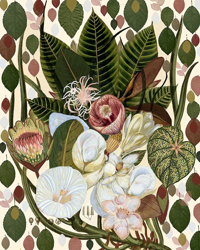 Flores Terrosas — Nicolo, Giovanna