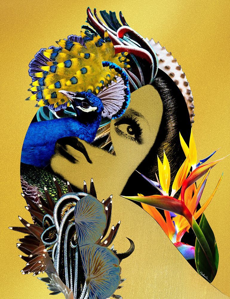 Sirin — Lorenzo, Lolita