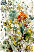 Flores da Campina 13 — Jaszke, Justyna