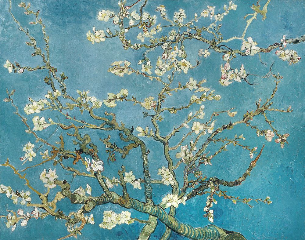 Amendoeira em Flor, 1890 — Vincent van Gogh — Pictufy