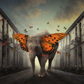 Elefante-Borboleta — Hardibudi