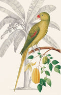 Palmeira e Periquito II — Ehret-De Bevere