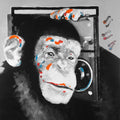 Macaco Ouvindo Rádio — Atelier B Art Studio