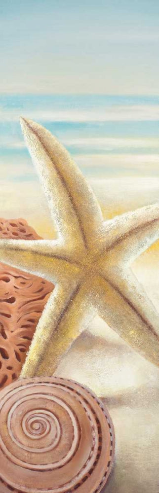 Estrelas-do-Mar e Conchas na Praia — Atelier B Art Studio