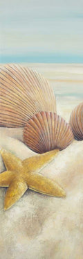 Estrelas-do-Mar e Conchas — vista da praia — Atelier B Art Studio