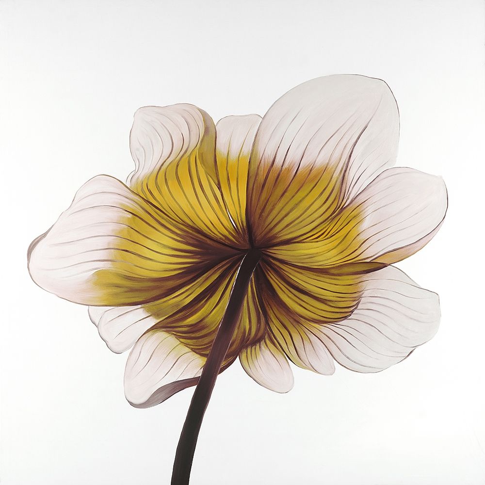 Anêmona Amarela — Atelier B Art Studio