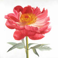 Peônia Rosa — Atelier B Art Studio