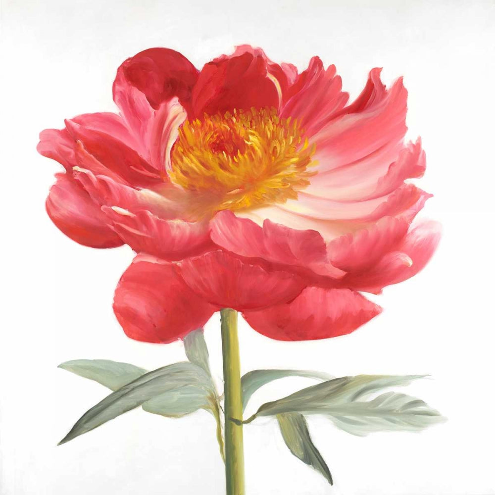 Peônia Rosa — Atelier B Art Studio