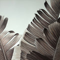 Folhas Tropicais em Tons de Cinza — Atelier B Art Studio