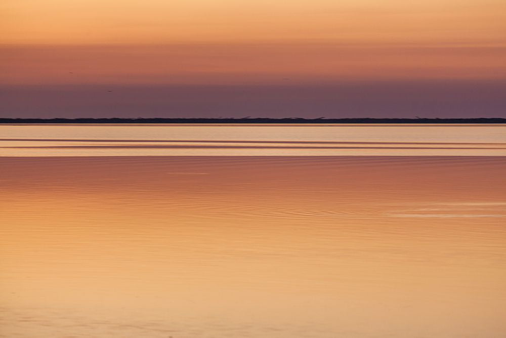 Horizonte de Bronze — McClain, Melissa